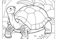 coloriage animaux gs