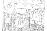 rainforest printables