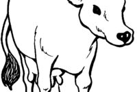 cow coloring pages free printable