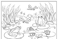 pond coloring page