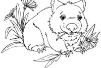 wombat coloring page wombat coloring page