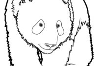 realistic panda coloring pages