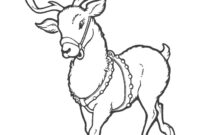 reindeer color pictures reindeer color pictures