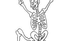 skeleton to color skeleton to color