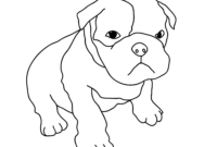 bull dog coloring pages bull dog coloring pages