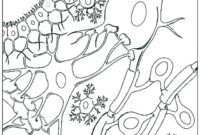 cells coloring page cells coloring page