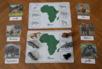 tout les animaux du monde