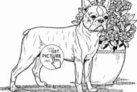 boston coloring pages boston coloring pages