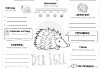 thema igel in der grundschule thema igel in der grundschule