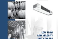 20 lag manual chapter 31 pictures