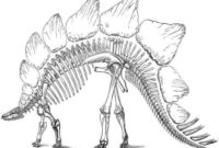 dinosaur skeleton coloring page