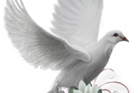 get dessin facile colombe kawaii png get dessin facile colombe kawaii png