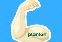 download angelo et sila gif