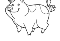 horseland coloring pages