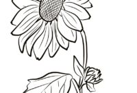 kansas day coloring pages kansas day coloring pages