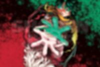 mha colored page leak mha colored page leak