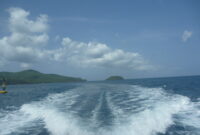 licorne bacbac 9 licorne bacbac 9