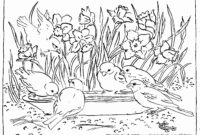 pond animals coloring pages pond animals coloring pages