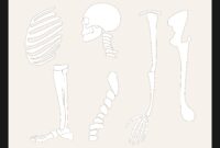 skeleton cut out template