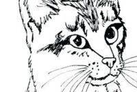 tabby cat coloring page