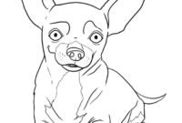 chihuahua coloring pages