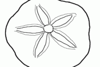 shells coloring page shells coloring page