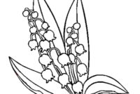 coloriage muguet imprimer