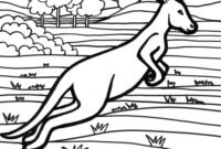 australia coloring page