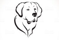 golden retriever dessin golden retriever dessin