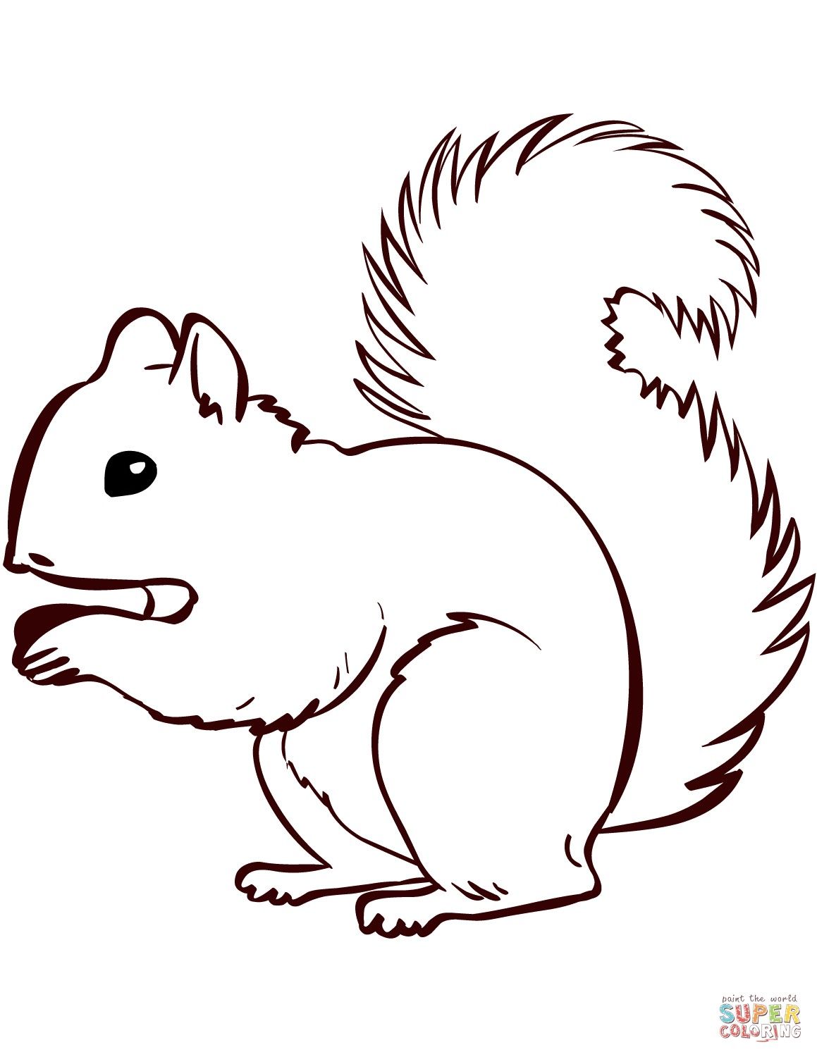 Pin by Diana Wesdorp on bosdieren | Squirrel coloring page, Coloring
