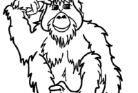 orangutan coloring page