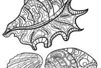 coloring pages seashells