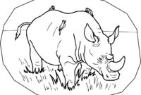 rhinoceros coloring page