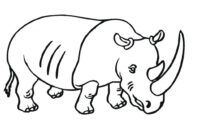 rhino coloring page
