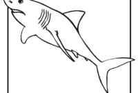 free shark coloring pages free shark coloring pages
