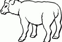 sheep coloring pages free
