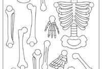 skeleton puzzle printable