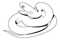 snake coloring page snake coloring page
