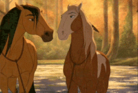 11 coloriages spirit gif 11 coloriages spirit gif