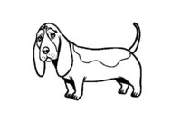 basset hound coloring pages basset hound coloring pages