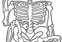 skeleton color skeleton color