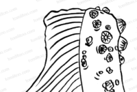 hugo lescargot baleine