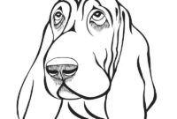 basset hound coloring page