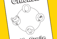 chicken life cycle coloring page chicken life cycle coloring page