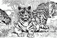 hard tiger coloring pages hard tiger coloring pages