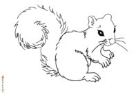 coloriage ecureuil a imprimer coloriage ecureuil a imprimer