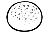 bun coloring pages bun coloring pages