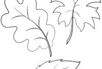 autumn leaf coloring page