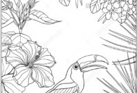 coloriage oiseaux tropicaux