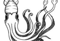 giant squid coloring pages giant squid coloring pages